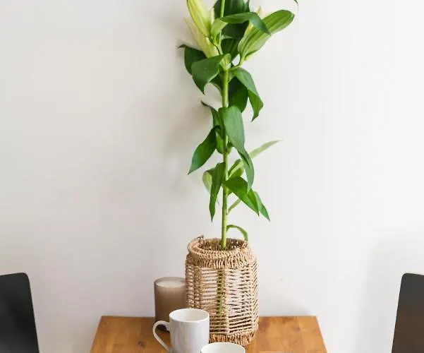 Homely - Loftaffair Apartament